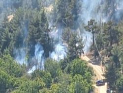 Orman yang�n� kontrol alt�na al�nd�